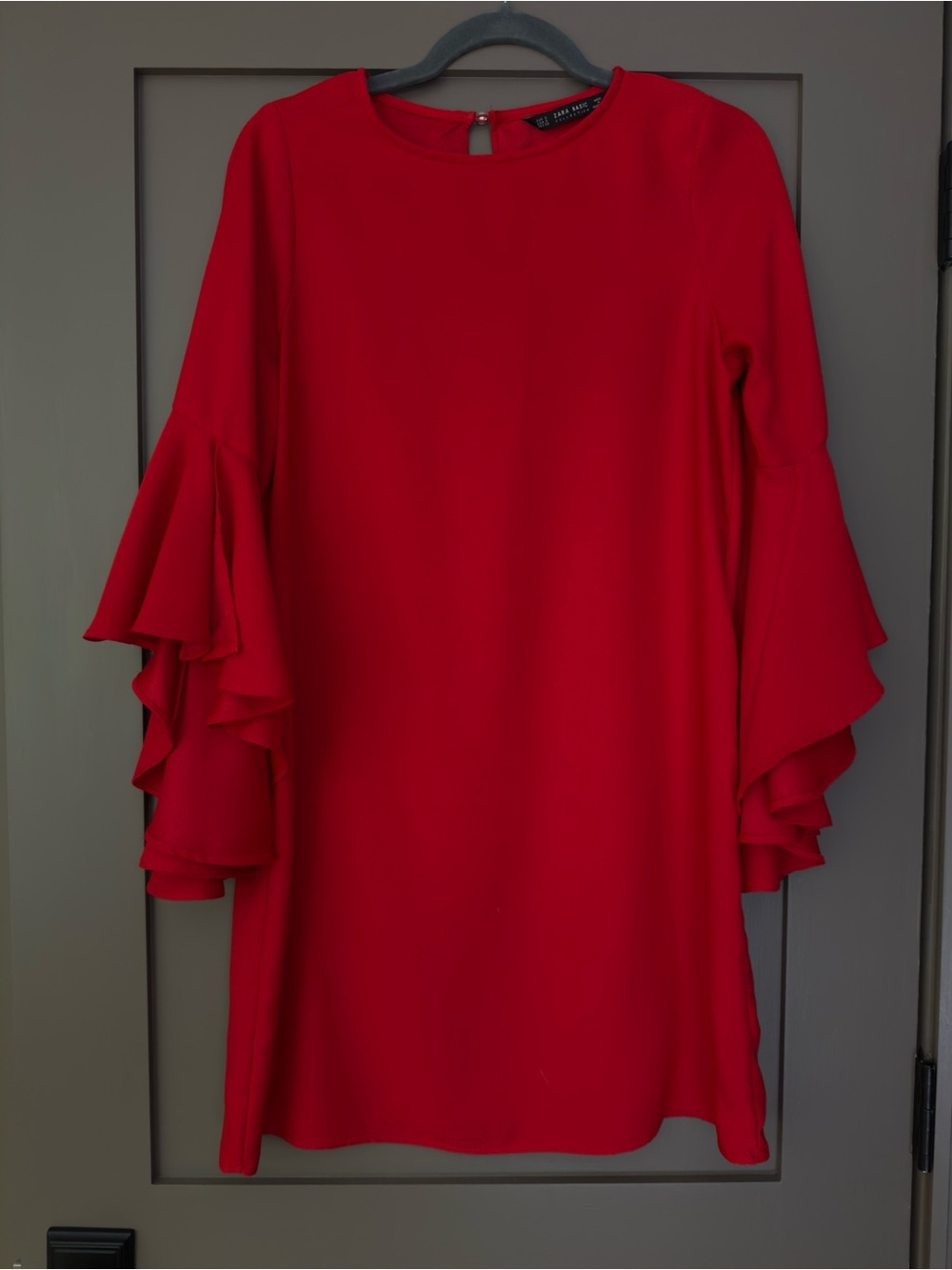 Zara Ruffled Sleeve Dress with Pearl Closure